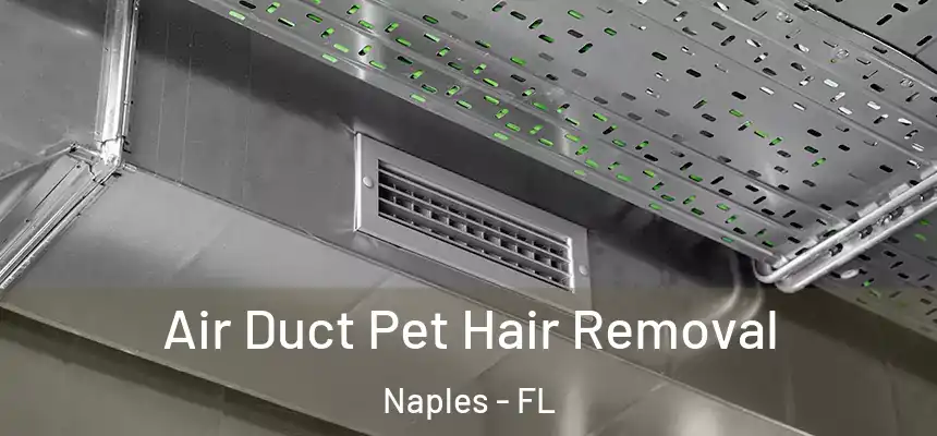 Air Duct Pet Hair Removal Naples - FL