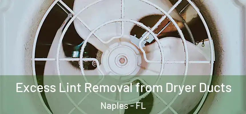 Excess Lint Removal from Dryer Ducts Naples - FL