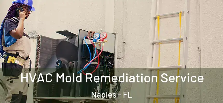HVAC Mold Remediation Service Naples - FL