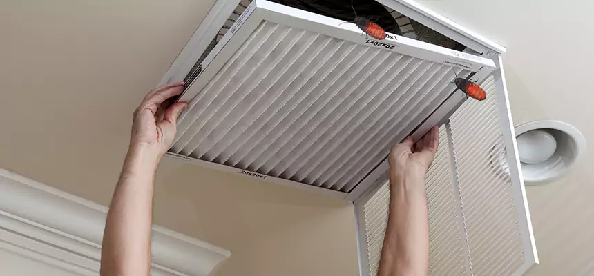 Our Insect Removal from Air Ducts Services in Naples, FL