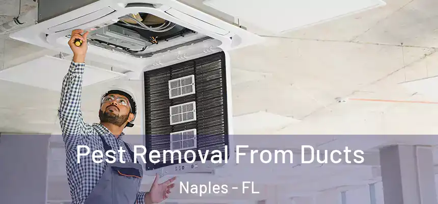 Pest Removal From Ducts Naples - FL