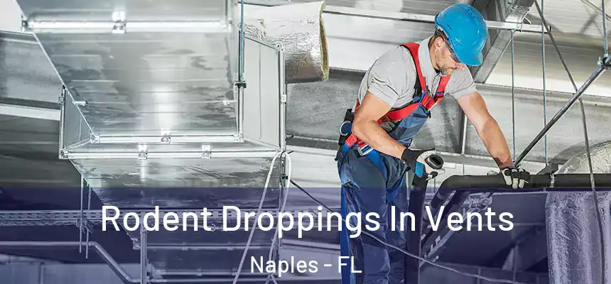 Rodent Droppings In Vents Naples - FL