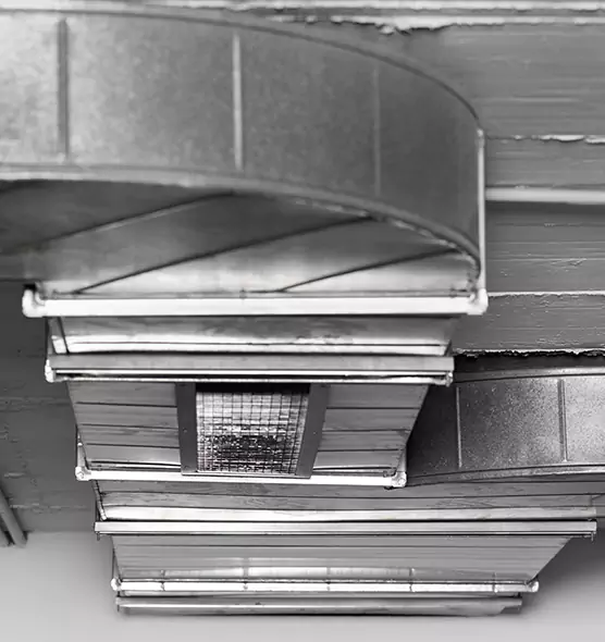 Professional Air Duct Pest Removal in Naples, FL