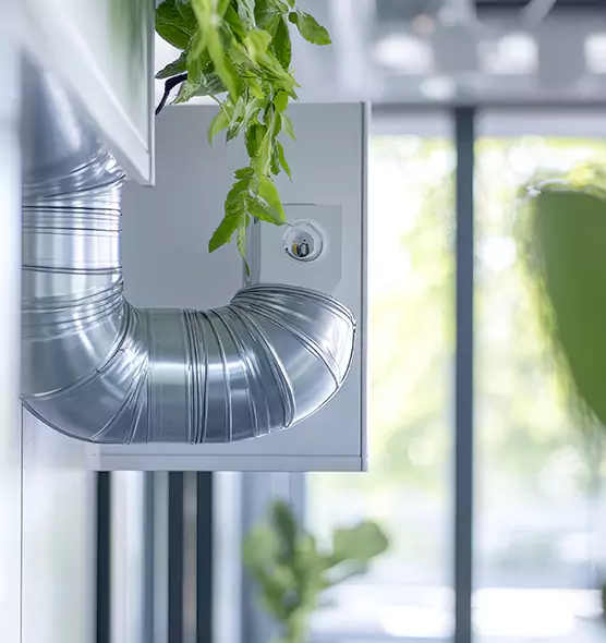 Professional Eco-Friendly Duct Cleaning Services in Naples, FL