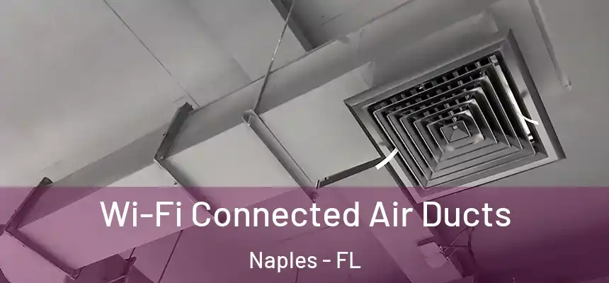 Wi-Fi Connected Air Ducts Naples - FL